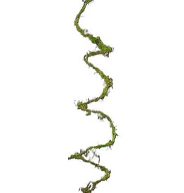 AB Floral 79" Long Moss Vine