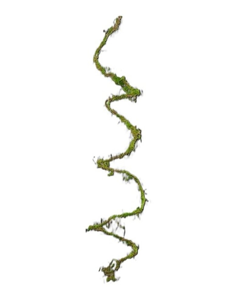 AB Floral 79" Long Moss Vine