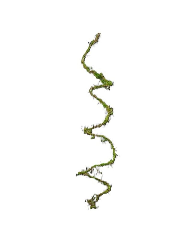 AB Floral 79" Long Moss Vine