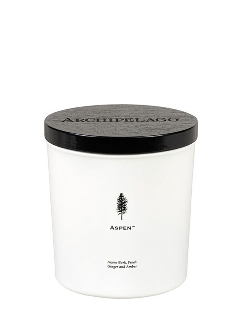Archipelago Aspen Luxe 2 Wick Candle