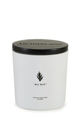 Archipelago Big Sur Luxe 2 Wick Candle