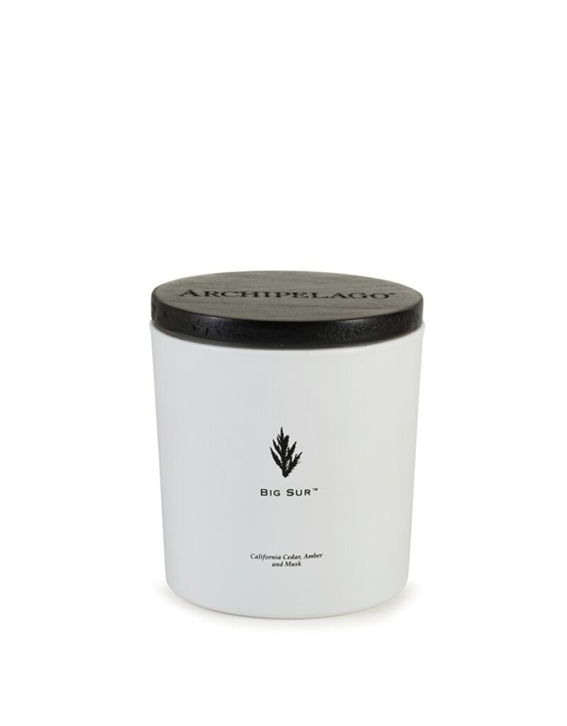 Archipelago Big Sur Luxe 2 Wick Candle