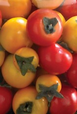 Box of 30 Mixed Color Mini Tomatoes