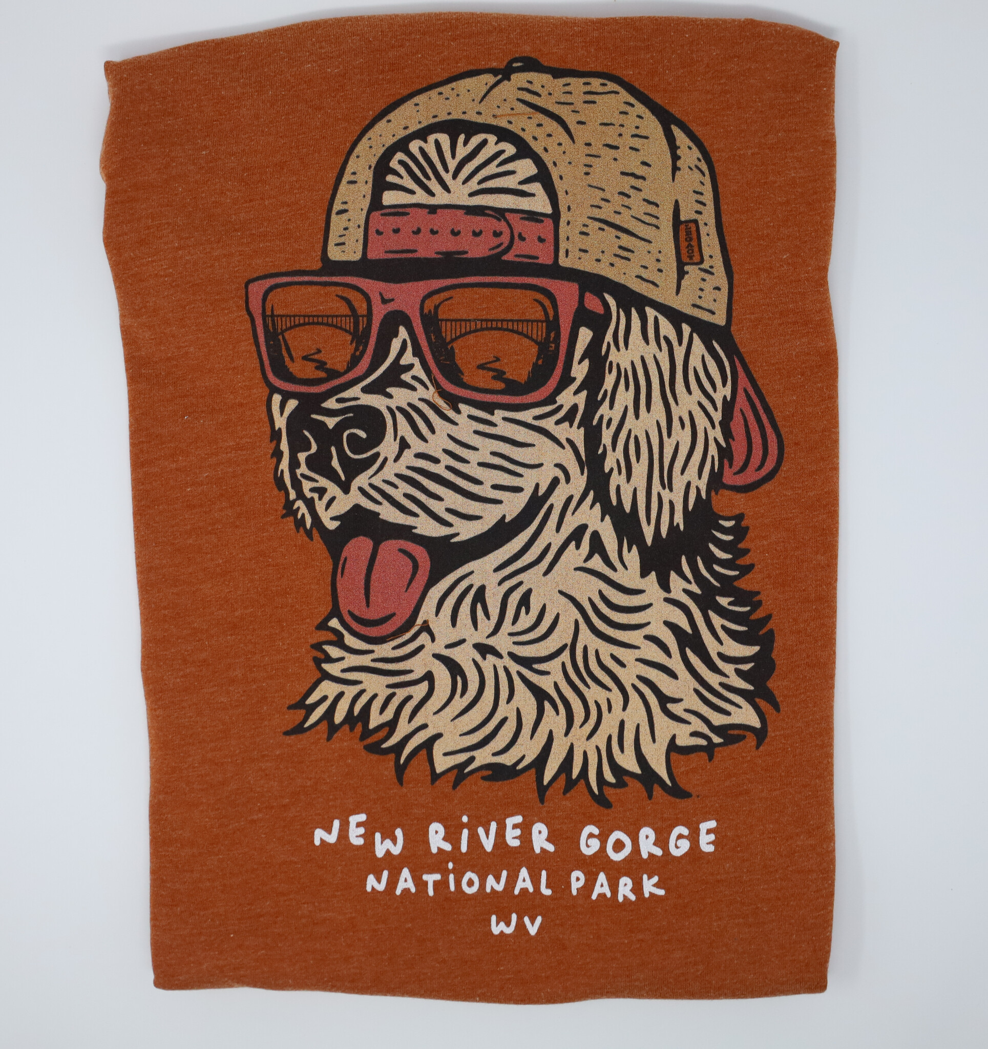 New River Gorge Chillin' Dog Shirt