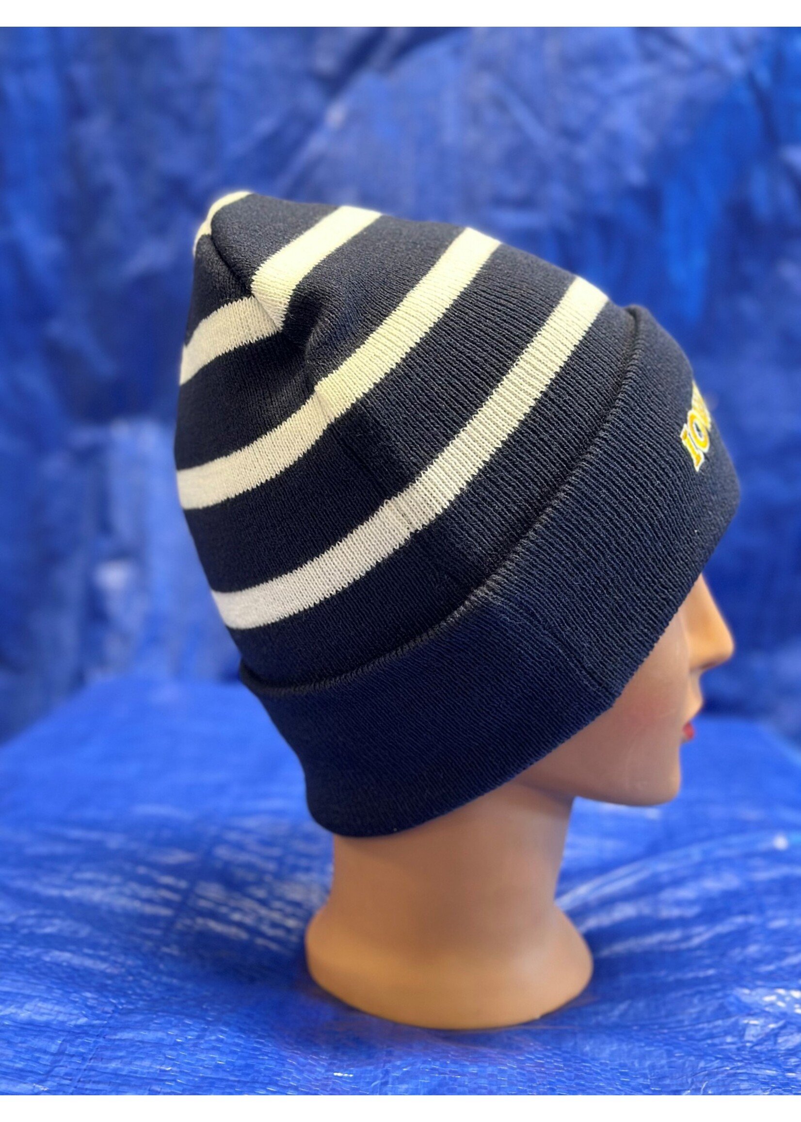 Stripe Knit Lined Cuff Hats