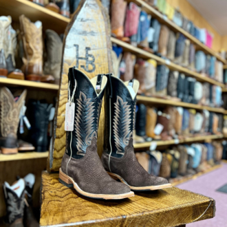 Anderson Bean Anderson Bean Cafe Carpincho