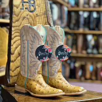 Macie Bean Macie Bean Antique Saddle Full Quill Ostrich