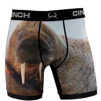 Cinch Cinch Underwear Walrus