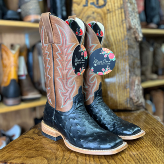 Macie Bean Macie Bean Full Quill Ostrich - Black