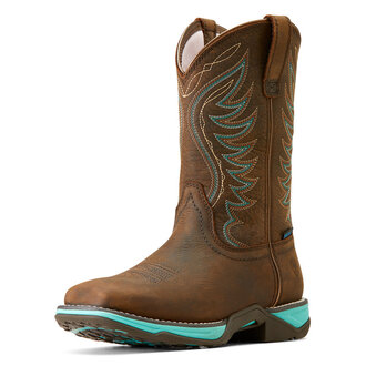 Ariat Ariat Anthem H2O - Dark Roast