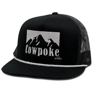 Whiskey Bent Whiskey Bent Cowboy Killer 2.0 Cap - Black