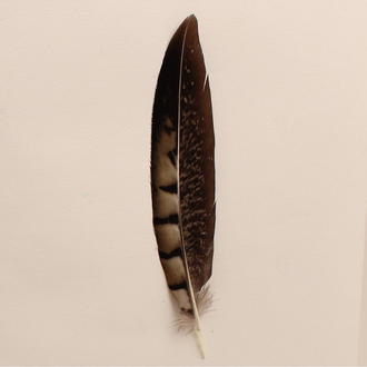 Hat Trim Feather - Dark