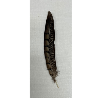 Austin Accent Austin Accent Hat Feather - Brown/Tan