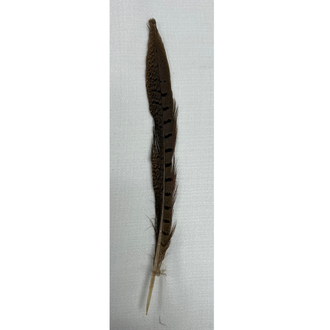 Austin Accent Austin Accent Ringneck Pheasant Tail Hat Feather