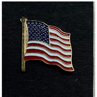 Austin Accent Austin Accent American Flag Hat Pin
