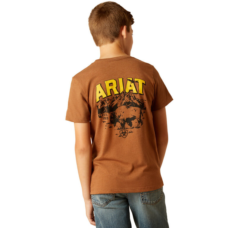 Ariat Ariat Bison Sketch Shield S/S Tshirt - Cinnamon