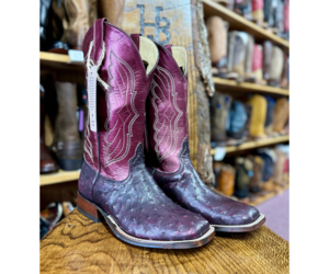 anderson-bean-anderson-bean-