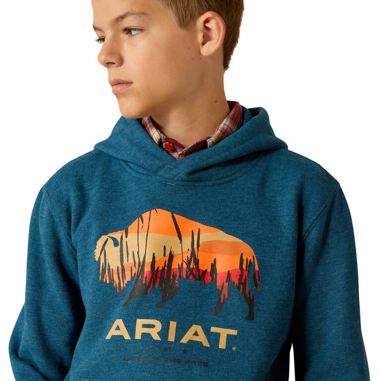 Ariat Ariat Bison Plains Hoodie - Hydra Heather