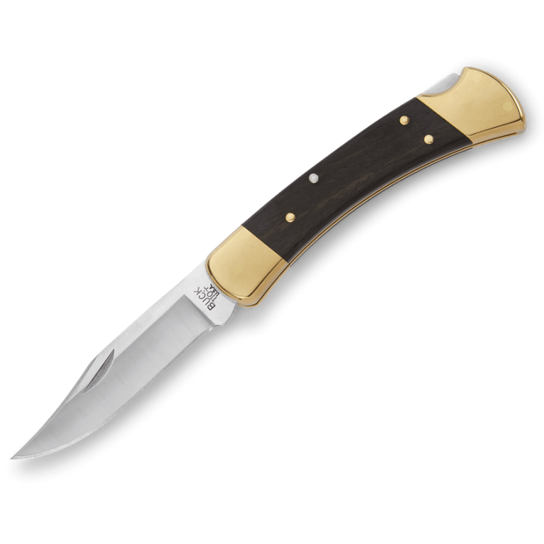 Buck Buck 110 Folding Hunter Knife - Ebony/Brass