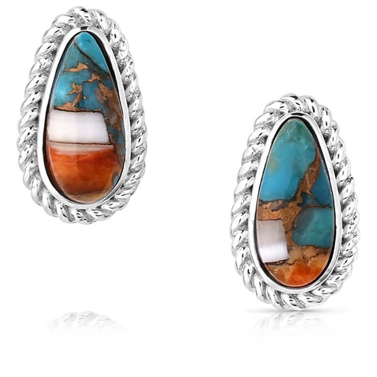 Montana Silversmiths Montana Silversmiths Glacier Treasures Earrings
