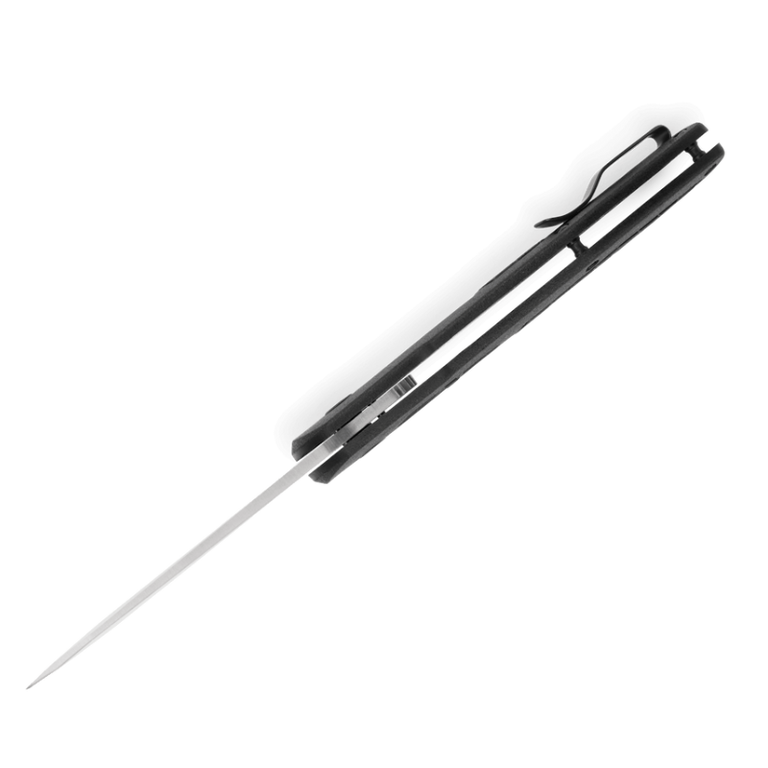 Buck Buck 261 Hexam Folding Knife - Black