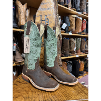 Anderson Bean Anderson Bean Raiz Waxy Kudo