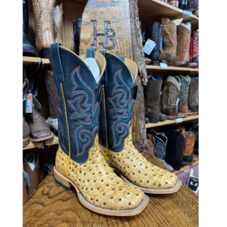 Horse Power Horse Power Saddle Ranch Ostrich Print