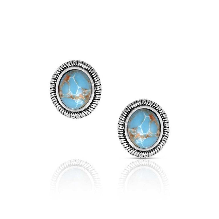 Montana Silversmiths Montana Silversmiths Denim Nights Earrings