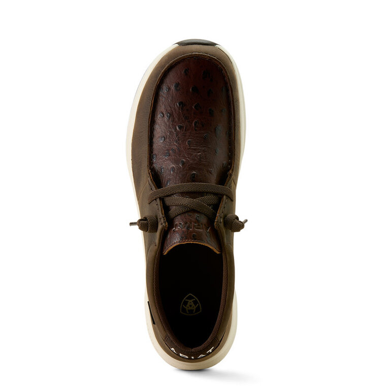 Ariat Ariat Buckeye H2O - Dark Chocolate Full Quill Ostrich Print