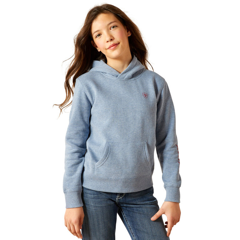 Ariat Ariat 2.0 Hoodie - Vintage Indigo Heather