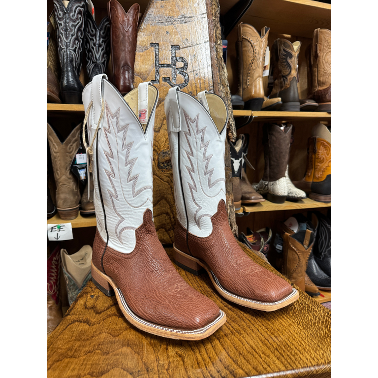 Anderson Bean Anderson Bean Chili Shark