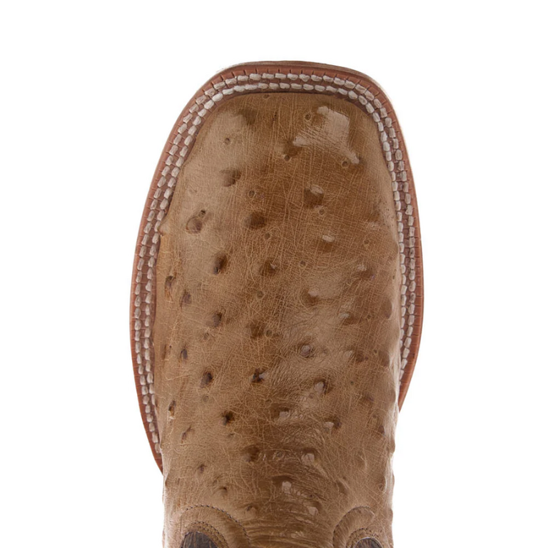 Tony Lama Tony Lama Cheyenne 11" "Requill" Ostrich Boots
