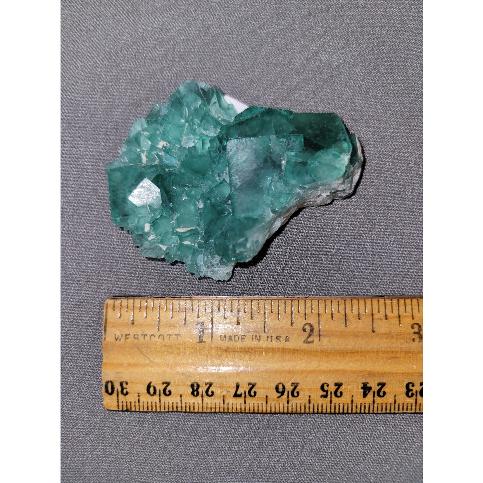 Briar and Bone Deep Green Fluorite 2 inch