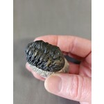 Village Silversmith Black Stone Trilobite