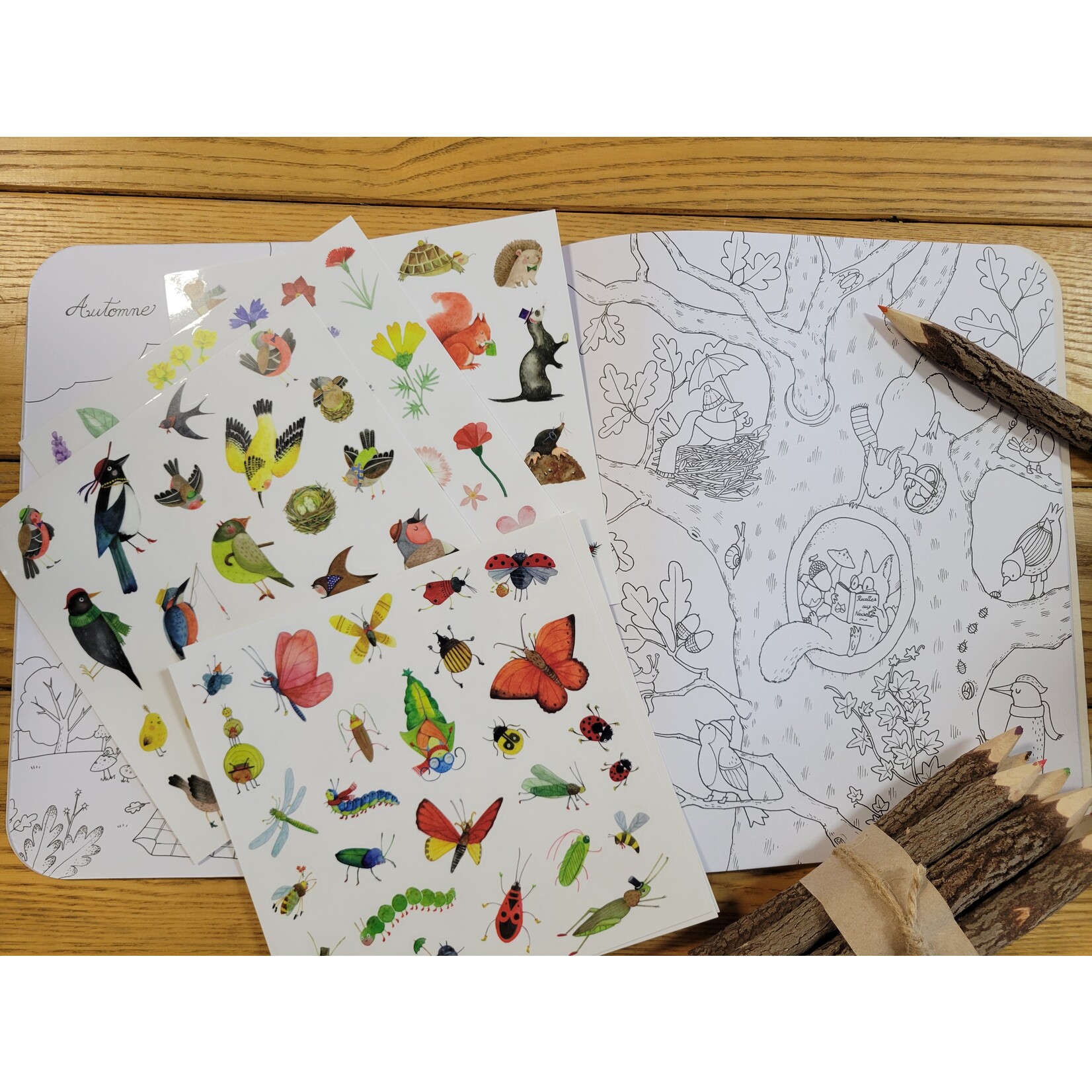 Speedy Monkey Botanist Garden Coloring Book with Stickers