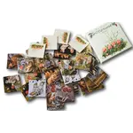 Challenge and Fun Elsa Beskow Children of the Forest Memory Game