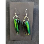 Beetle Wing Earrings