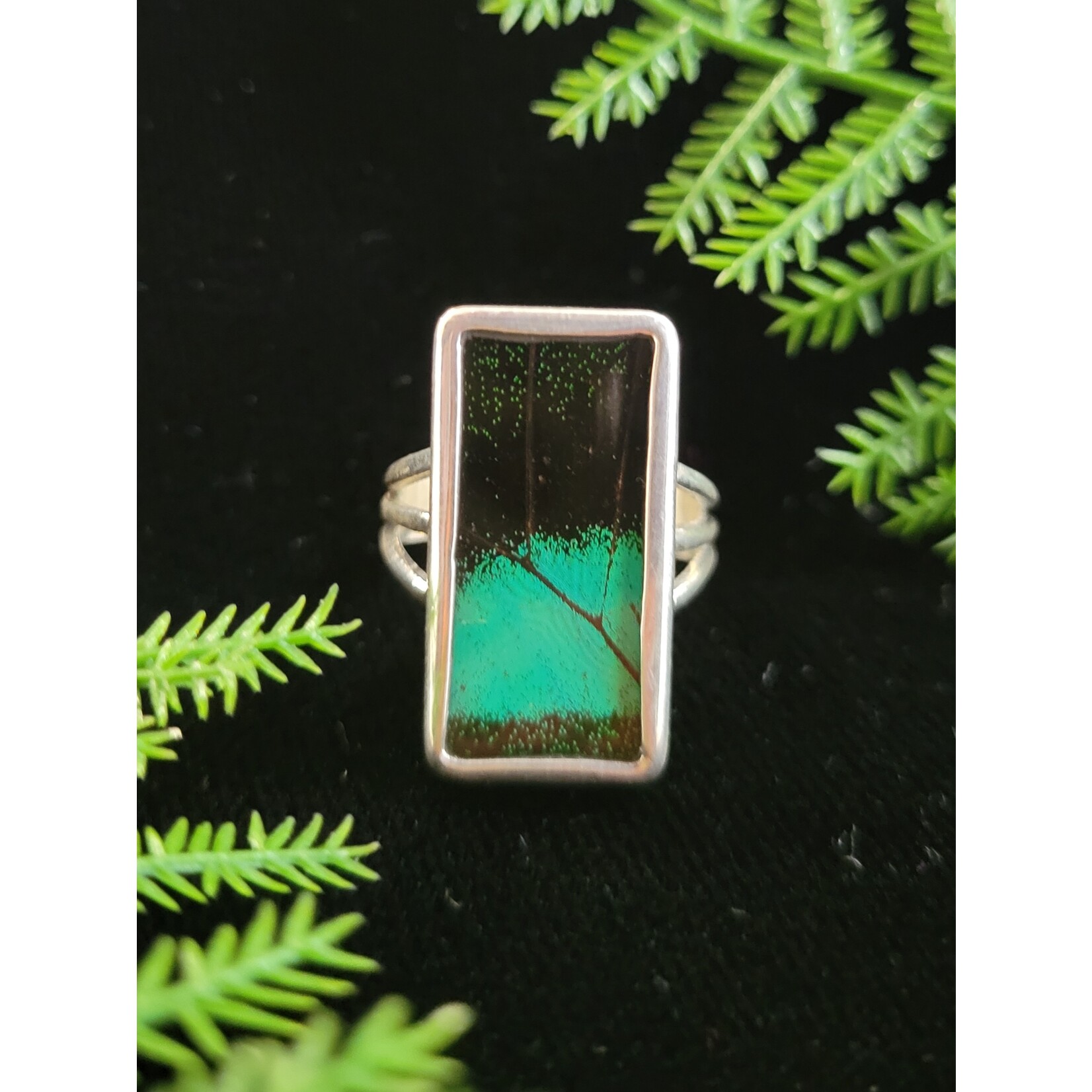 Nugent Jewelry Green Banded Swallowtail Wing Sterling Silver Ring -Size7