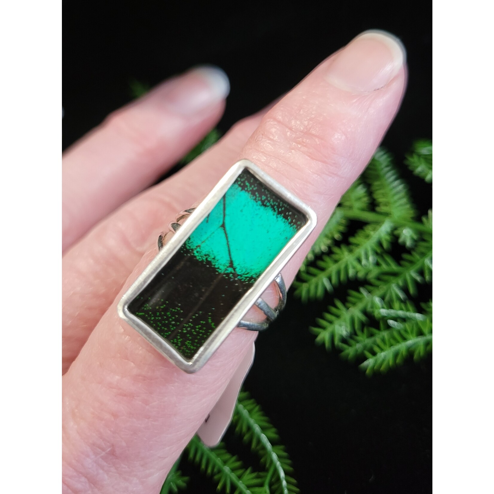 Nugent Jewelry Green Banded Swallowtail Wing Sterling Silver Ring -Size7