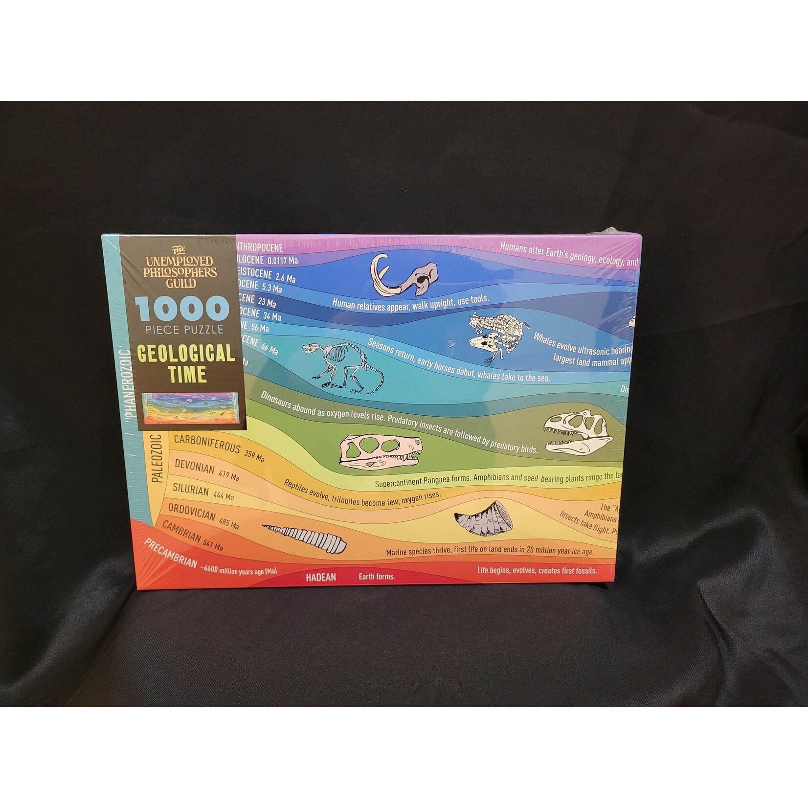 Geologic Time Puzzle
