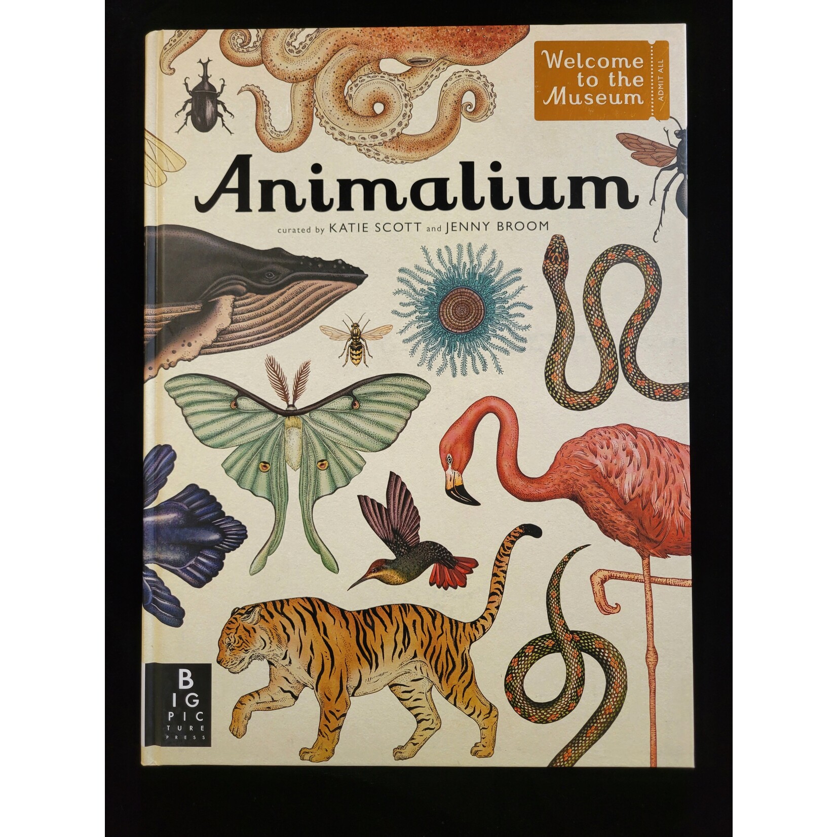 Big Picture Press Animalium- Welcome to the Museum