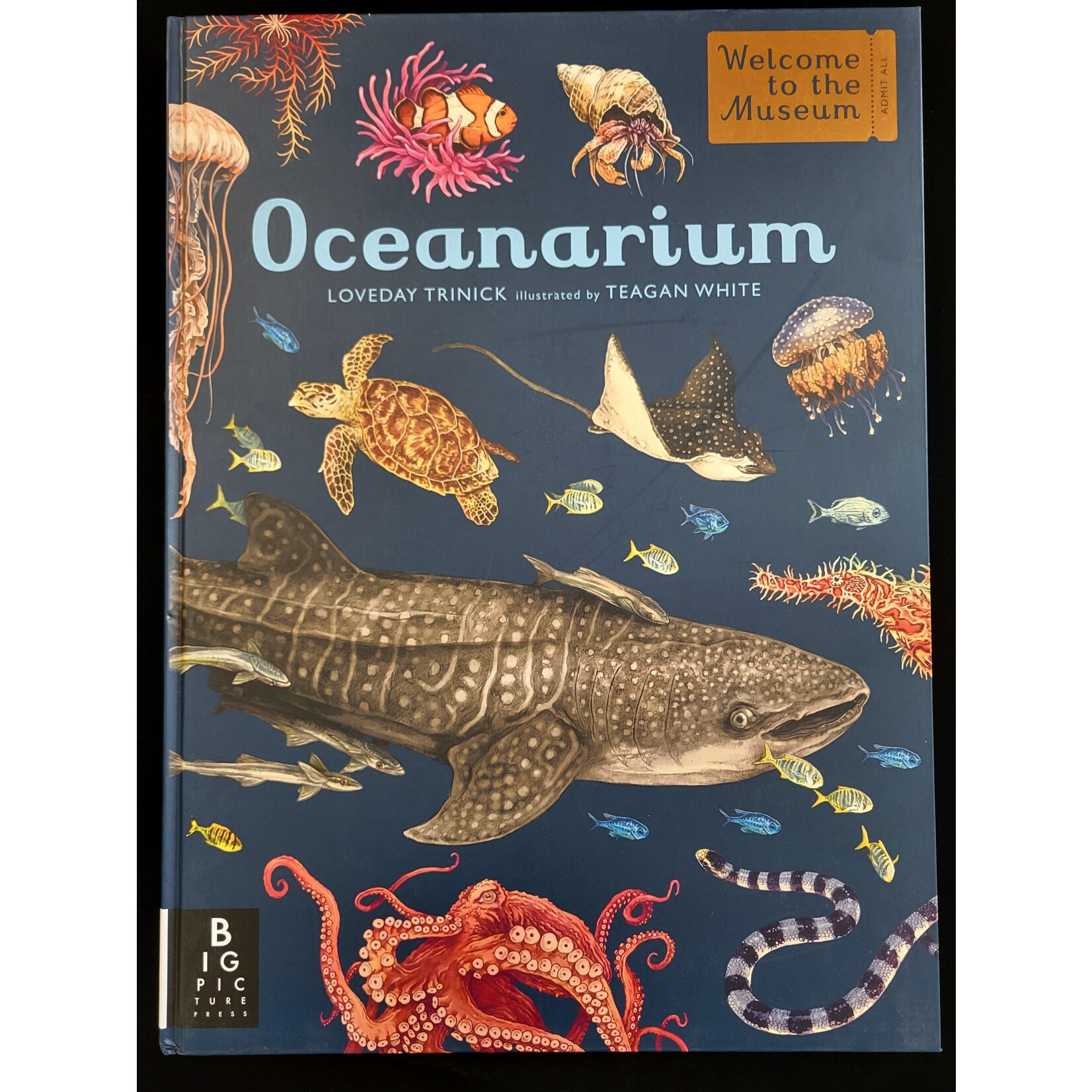 Big Picture Press Oceanarium- Welcome to the Museum