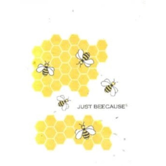 Greenfield Paper Grow a Note Greeting Card