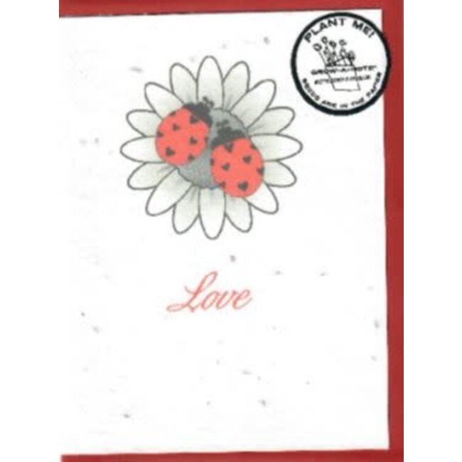 Greenfield Paper Grow a Note Greeting Card