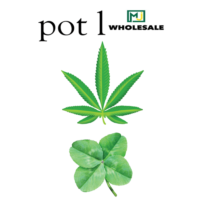 MJ Wholesale Green Magnets