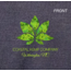 CHC Logo Jersey Zip Hoodie Green Leaf Emb (Unisex)