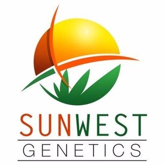 SunWest Genetics Seeds SunWest Genetics Seeds