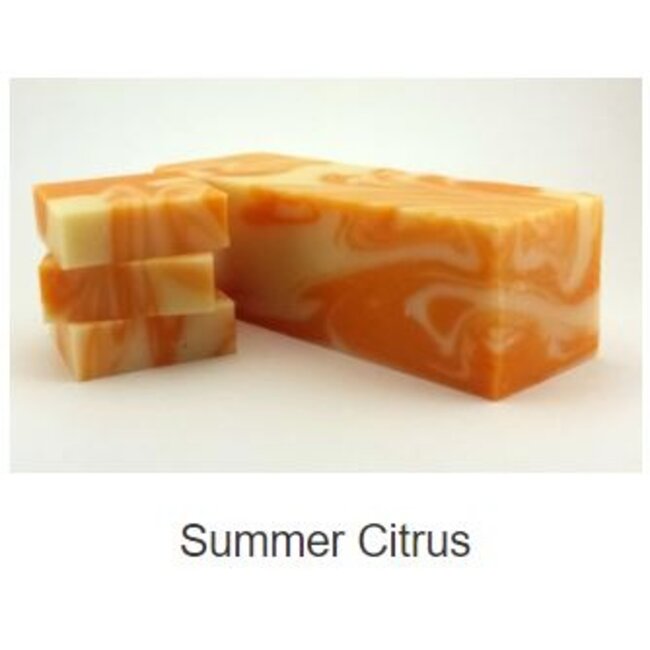 Coastal Hemp Bar Soap