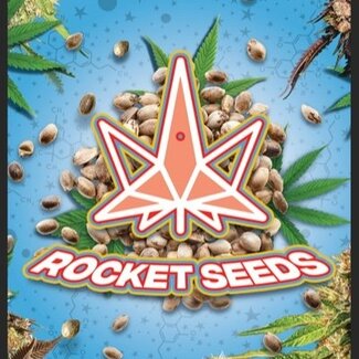 Rocket Seeds Rocket Seeds