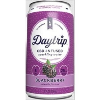 Daytrip Daytrip CBD Infused Sparkling Water